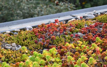 the cost of Bogthorn green roof installation