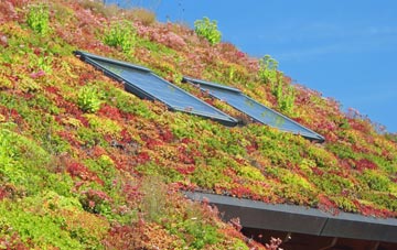 Bogthorn living roof systems
