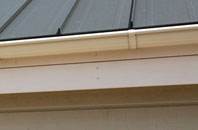 Bogthorn soffit repair